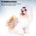 Elegant Gold Dog Dress for Small Dogs - Sequins Tutu Puppy Costume | Wedding & Princess Outfit (XL) - Buy Online on GoSupps.com