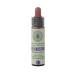 Red Chestnut No. 25 Princeps Original Bach Flower Red Chestnut Drops
