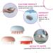 Magiclulu 3ST Shampoo Brush & Body Washer | Long Handle Skin Peeling Tool for Shower & Scalp Massage | Child-Friendly Handheld Cleaning Brush - Buy Online on GoSupps.com