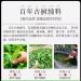 Pu-erh Tea 2022 Xiangzhuqing 357g Raw - Buy Online on GoSupps.com