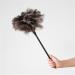 2Pack Feather Duster Ostrich Duster with Long Handle Brush Electrostatic Dust Household Cleaning Accessories Cleaning Long Handle Cleaning Brushes for Household Use - Buy Online on GoSupps.com