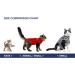 MPS Medical Pet Shirt Cat Surgery Recovery Suit Zebra-Print X-Small - Buy Online on GoSupps.com