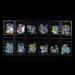 12 Grid Colorful Nail Rhinestones AB Diamond Marquise Glass Stones - Nail Art Decorations - Buy Online on GoSupps.com