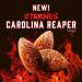 Blue Diamond Almonds XTREMES Carolina Reaper Spicy Snack Nuts 1.5oz - Pack of 12 - Buy Online on GoSupps.com