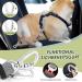Slowton Dog Harness with Seat Belt for Car - Breathable Design XXS Gray Includes 2 Carabiner Hooks - Safe Travel for Small Dogs - Buy Online on GoSupps.com