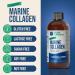 Liquid Marine Collagen | Wild Caught Cod - Hydrolyzed Keratin Peptide Hyaluronic Acid & Biotin - Healthy Hair Skin & Nails - Made in USA (Natural Berry 8.00 Fl Oz (1-pack)) - Buy Online on GoSupps.com