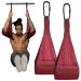 Gymreapers Hanging Ab Straps for Core Strength and Abdominal Training - Padded Adjustable Arm Supports for Bodyweight Exercises Red