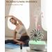 SereneMist 300ml Essential Oil Diffuser & Humidifier - Rain Cloud Aromatherapy Device for Home | Timer & Fragrant Oil | White - Buy Online on GoSupps.com