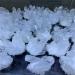 Specimen 1pcs Natural Crystal Cluster Raw Quartz White ReikiStones Crystal Point Specimen Home Decoration Ra Crystals Stone Natural Stones (Size : 320-400g) - Buy Online on GoSupps.com