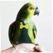 MipCase 5-Pack Flying Bird Diapers | Parrot & Pigeon Clothing | Cotton Flight Suits for Small Birds - 17x9cm - Buy Online on GoSupps.com