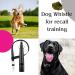 dog whistle no. 210.5 with whistle strap | Ideal for dog training | Food-Grade ABS Material | Standardized frequency | Loud and far-reaching - Buy Online on GoSupps.com