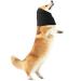Amaxiu Dogs and Ear warmers for dogs dogs earmiths neck and ear warmer for dogs neck and ear warmer dog necker hinge quiet ear covers hood (m black)