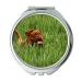 Mirror Compact Mirror Bordeaux Mastiff Dog Animal White De Mastiffs Pocket Mirror portable mirror