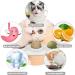 Buy Aucenix Catnip Balls - 4 Natural Dental Toys for Cats & Kittens | Tooth Cleaning & Licking Fun - Buy Online on GoSupps.com