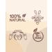 TRINIDa Cashmere Soft Scented Candle Gift Set - 17 Variants (Sweet Home Collection) - Buy Online on GoSupps.com