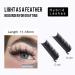 Individual Eyelashes 0.20 D Curl Extensions | 14mm Single Size 1 to 1 Eyelash Extensions by Gemerry - Shop Now - Buy Online on GoSupps.com