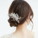 GOIYZTTR 2 Pieces Crystal Vines Flower Leaf Headpieces Bride Wedding Crystal Flower Vines HairPiece Elegant Silver Crystal Hair Accessories Suitable for Women and Girls - Buy Online on GoSupps.com