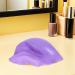 Vaguelly Bonnet M ches en Silicone R utilisable Violet Crochet Int gr Outil de Coloration Pr cis pour Salon et Usage Maison Bonnet de Teinture pour M ches Professionnelles - Buy Online on GoSupps.com