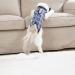 Dotoner Katzenbody After Op | Anti-Trolley Body for Cat Recovery | Post-Surgery Clothing for Cats & Dogs (Small Marine) - Buy Online on GoSupps.com