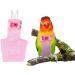 Pet Bird Diaper Cute Bird Creative Clothes Parrots Diaper Washable Reusable Safety Nappies for Pigeon Parrot (M Pink) M Pink - Buy Online on GoSupps.com
