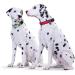 Shop Hunter Neopren Vario Plus Dog Collar - Padded Nylon Red/Black M-L (45-50 cm) - Perfect for Comfortable International Shipping - Buy Online on GoSupps.com