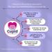 Cupid Baby Home Insemination Kit - Includes 5 Ovulation Tests & 1 Conception Cup - Buy Online on GoSupps.com