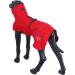 Rukka Pets HAYTON ECO Raincoat for Dogs - Classic Red | Eco-Friendly Pet Apparel | International Shipping Available - Buy Online on GoSupps.com