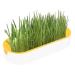 Cat grass grass set-hydroculture cat grass plant container-floor-free no dirt no disorder no smell anti-grave design easy to plant cat grass set cat grass for cats yellow