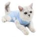 Cat Recovery Suit Cat Professional Recovery Suit for Abdominal Wounds or Skin Diseases After Surgery E-Collar Alternative for Cats Anti Licking Pajama Suit Kittesn Surgery Recovery Suit(Blue L Size)