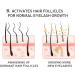 Eyelash Serums Eyelash Serums 8g for Eyelashes Lash Lift Eyebrow Growth Serums Longer and Thicker Eyelashes Grow ... - Buy Online on GoSupps.com