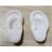 Simulation Ear Model Artificial Simulation Human Ear Model for Acupuncture - Soft Silicone Ear Model for Ear Picking Practice Studs Earring Headset Display Props Left - Buy Online on GoSupps.com