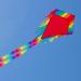 Cim Children's Kite - Maya Eddy Red | Insiders Flight Dragons | Perfect for Ages 3+ | 65x72cm | Includes 80m Dragon Cord & 2x250cm Stripes - Buy Online on GoSupps.com