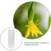 UPKOCH 2pcs Vegetable Shaping Mold Mushroom Growing Supplies Fruit Growth Molds Strawberry Growing Mold Clear Vegetable Mold Garden Cucumber Molds Fruit Mould Tool Modeling Picking Garden - Buy Online on GoSupps.com