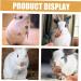 Sosoport 12pcs Pet Rabbit Snacks Rabbit Chewing Playthings Rabbit Biting Playthings Rabbit Chew Sticks Plant - Buy Online on GoSupps.com