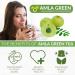MLA Green Organic Tea Powder 20x Concentrated Amla + Oolong Blend - 90 Servings (Raw, Vegan, Non-GMO) | Antioxidant Rich Amla Powder - Buy Online on GoSupps.com