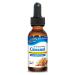 North American Herb & Spice Clovanol - 1 fl oz - Oil of Clove Buds - Healthy Support for Teeth & Gums, Healthy Digestive Support - Non-GMO, Kosher - 318 Servings