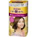 Kao Blaune Easy Painting Gloss Hair Color - 2 Brighter Light Brown (Green Tea Set)
