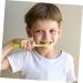 Minkissy 8st Small Crocodile Children's Toothbrush Set - Transparent Bent Design for Kids | International Shipping Available - Buy Online on GoSupps.com