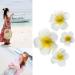 FRCOLOR 4Pcs Hawaiian Flower Hair Clip | Plumeria Hairpin for Kids & Women | Beach Foam Hair Accessories - Buy Online on GoSupps.com