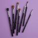 Sigma Basic Eye Brush Set - 7 Essential Makeup Brushes for Flawless Application - Buy Online on GoSupps.com