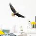 Ambitious Bald Eagle Wall Stickers - Stunning Flying Decals for Bedroom & Office Decor - Buy Online on GoSupps.com