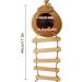 Aobuviou Gecko Coconut Husk Hut Coconut Bird Nest Reptile Coconut Hide with Ladder Natural Reptile Hideouts Bird Coconut Shell Coconut Hide for Reptiles Bird Small Animal - Buy Online on GoSupps.com