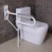 Bathroom Grab Bar Safety Support Rail Wall-Mounted Toilet Handrails Bathroom Handrails Elderly Disabled Safety Support Grab Bar Bathroom Fo - Buy Online on GoSupps.com
