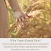 I'm From Rice Toner, Mugwort Essence, Fig Boosting Essence - Miniatures Set - Buy Online on GoSupps.com