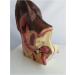 Canine Ear Model Dog Ear Anatomy Bilateral Model for Health Standards and Infectious Diseases Ear Family - Buy Online on GoSupps.com