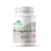 Astragalus 9000 by Provita Nutrition (Canadian Made) 60 Vegetarian Capsules