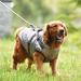 Buy Waterproof Dog Vest & Coat | Winter Warm & Soft Dog Harness - 9 Colors Available | 4XL Silver - Buy Online on GoSupps.com