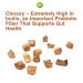 Plantgift Chicory Root Tea 180g - Caffeine-Free Natural Coffee Replacement Keto & Kosher | Chicor e Coffee Alternative - Buy Online on GoSupps.com