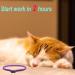Pets4LUV 2 Pack Cat Pheromone Stress Relief - Adjustable Waterproof 100% Natural Purple - Buy Online on GoSupps.com