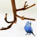 Allazone Natural Wood Bird Accessories - Parrots Climbing Bars & Grape Branches for Bird Cages - Buy Online on GoSupps.com